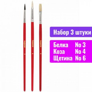 Кисти ПИФАГОР, набор 3 шт. (БЕЛКА: круглая № 3; КОЗА: круглая № 4; ЩЕТИНА: плоская № 6), пакет с европодвесом, 200229