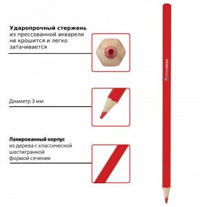 Карандаши цветные акварельные BRAUBERG "АКАДЕМИЯ", 18 цветов, шестигранные, высокое качество, 181399