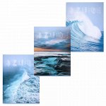 Тетрадь А4, 80 л., STAFF &quot;Basic&quot;, скоба, клетка, офсет №2 ЭКОНОМ, обложка картон, &quot;Ocean&quot;, 404044