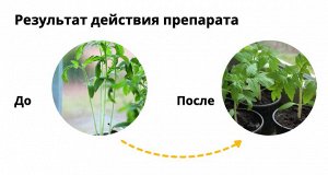 Х Рэгги  1мл от перерастания рассады, регулятор роста 1/200