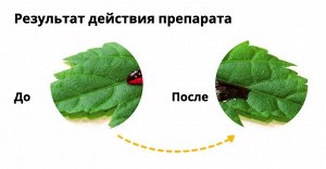 Х Адью 2мл для повышения эффективности препаратов 1/200