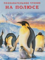 НА ПОЛЮСЕ
