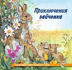 ПРИКЛЮЧЕНИЯ ЗАЙЧОНКА