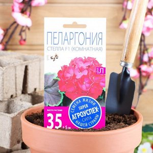 Семена цветов Пеларгония "Стелла", розовая с коричневым листом, F1, 4 шт