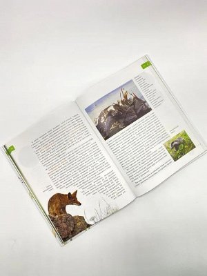 Энциклопедия для любознательных:Животные- изобретатели и строители