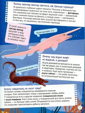 Почему в глубинах живут чудовища? Интересные факты о морских обитателях