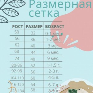 Размерная сетка