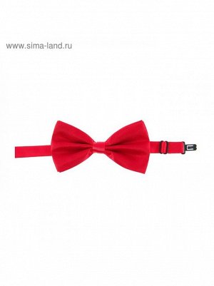 Карнавальная бабочка цвет малиновый
