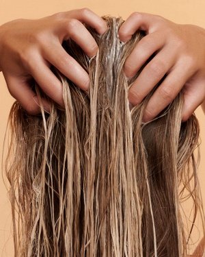 BISOU Bio-Professional  Маска до мытья головы Pre-Wash для всех типов волос, 250мл #  NEW