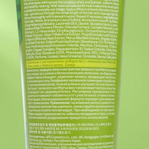 Шампунь Consly, с экстрактами водорослей и зеленого чая Матча, для силы и блеска волос, 250 мл