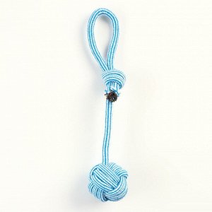 Игрушка-дразнилка для собак с шариком из каната, до 85 г, до 38 см, голубая/белая 7824017