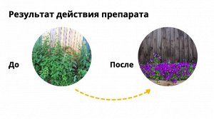 Торнадо экстра  40мл от всех видов сорняков 1/80