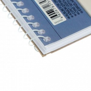 Hatber Альбом для рисования А4, 40 листов на гребне &quot;Нежная фантазия&quot;, обложка мелованный картон, блок 100 г/м2, МИКС