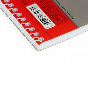 Альбом для рисования А4, 48 листов на гребне "Топ гараж", обложка мелованный картон, блок 100 г/м2, МИКС