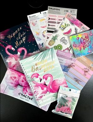 Подарочный набор канцелярии "Розовый фламинго"