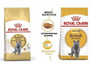 Royal Canin British Shorthair сухой корм для взрослых Британских кошек от 1 до 10 лет, 2кг
