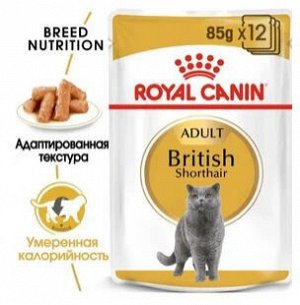 Royal Canin British Shorthair влажный корм для кошек породы Британская короткошерстная 85гр в соусе пауч