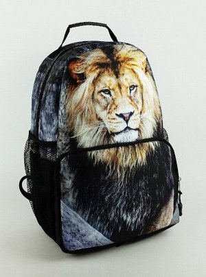 Городской рюкзак ARIGO