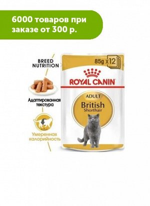 Royal Canin British Shorthair влажный корм для кошек породы Британская короткошерстная 85гр в соусе пауч