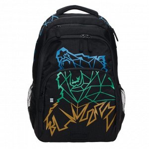 Рюкзак молодежный Grizzly, эргономичная спинка, 45 х 32 х 23 см, чёрный/цветной