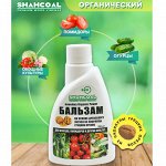 Мидори Но Таки НЕЖНЕЕ НЕЖНОГО! ФАСОЛЬ! Летом дешевле