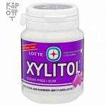 Резинка жевательная с голубикой и мятой Xylitol Blueberry Mint Lotte, 58гр.