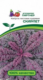 Семена Капуста листовая кудрявая Скарлет 0,3 гр.