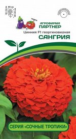 Семена ЦИННИЯ F1 Сангрия ^(4ШТ) 2-НОЙ ПАК