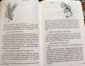 Беседы о русском лесе. Методические рекомендации / Шорыгина Т.А.. Шорыгина Т.А.