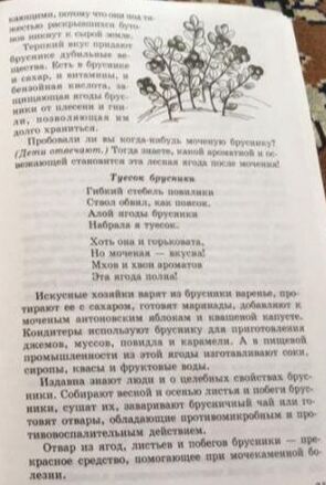 Беседы о тайге и ее обитателях. Методические рекомендации/Шорыгина Т.А.. Шорыгина Т.А.