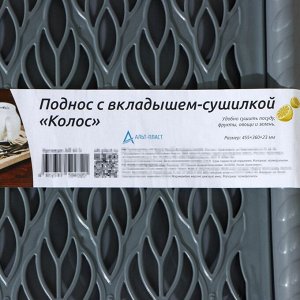 Поднос с вкладышем для сушки посуды «Колос», 45,5?36 см, цвет МИКС