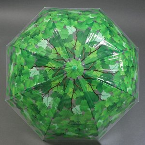 Зонт - трость полуавтоматический «Лето», 8 спиц, R = 40 см, цвет зелёный