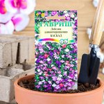 Семена цветов Лобелия &quot;Каскад&quot;, ампельная, О, смесь 0,05 г