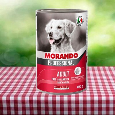 🐶 Аксессуары, аммуниция и корма для любимых питомцев — Morando Professional влажный для собак