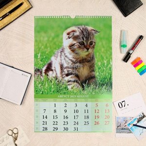 Календарь перекидной на ригеле "Котята" 2023 год, 32х48см