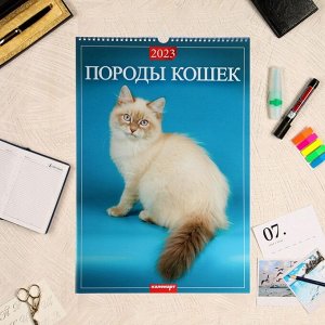 Календарь перекидной на ригеле "Породы Кошек" 2023 год, 320х480 мм