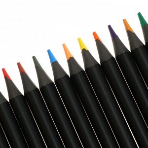 Карандаши цветные пластиковые, 24 цвета, deVENTE Juicy Black, трёхгранные, 2М, d-3мм, тонированные в чёрный цвет