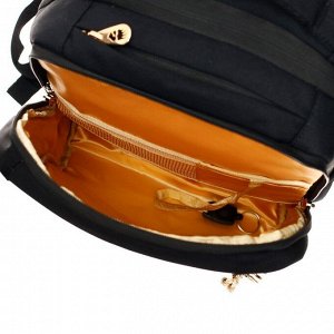 Рюкзак школьный эргономичная спинка,Grizzly 39 х 26 х 17 см, отделение для ноутбука, чёрный +брел