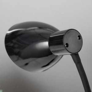 Настольная лампа 16700/1BK Е27 15 Вт черный RISALUX