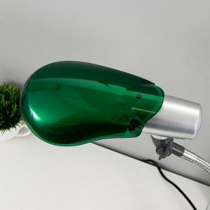 Настольная лампа NE-301-E27-15W-GR, E27 15Вт, цвет зеленый