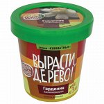 Набор для выращивания растений ВЫРАСТИ ДЕРЕВО! &quot;Гардения&quot; (банка, грунт, семена), zk-044