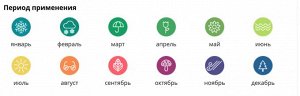 Янтарная кислота 10гр