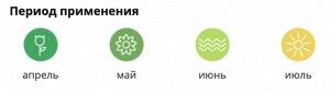 Завязь, Универсальная, 2 гр, стимулятор плодообразования, Ортон