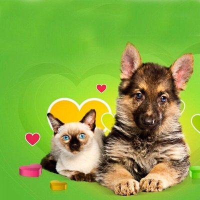 🐶 Для наших любимцев! Корма, наполнители, лакомства и другое