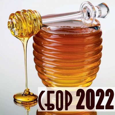 Свежий Мёд. Продукты Пчеловодства. Дикоросы — Мёд БАРХАТОВЫЙ 2022 ТОЛЬКО ЧТО С ПАСЕКИ