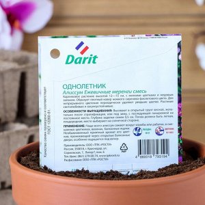Семена цветов Алиссум "Ежевичные меренги", О, DARIT 0,2 г
