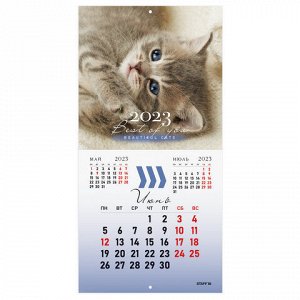 Календарь настенный перекидной 2023 г., 12 листов, 29х29 см, "КОШКИ", STAFF, 114276