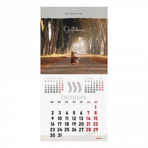 Календарь настенный перекидной 2023 г., 12 листов, 29х29 см, "DOGS", STAFF, 114278