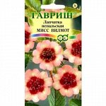 Лапчатка Мисс Виллмонтт непальская Мн (Гавр)