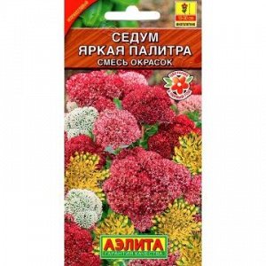 Седум Яркая палитра смесь (Аэлита)